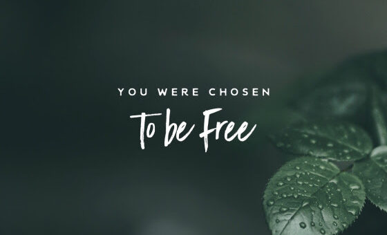 For you were called to freedom, brothers. Only do not use your