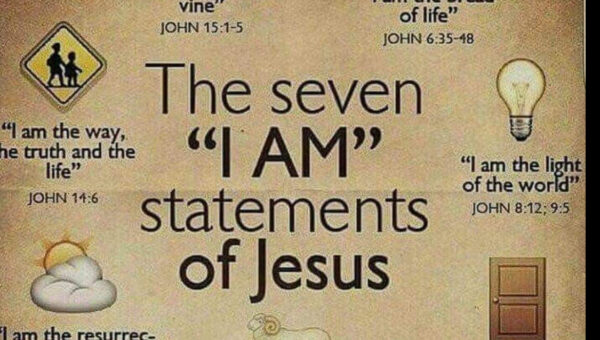The seven 