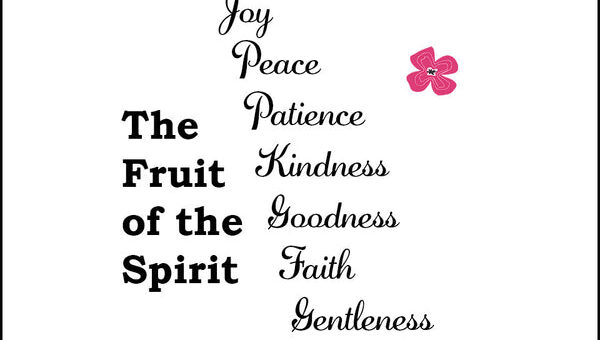 A Reflection of Jesus' Character
Galatians 5:22-23
[22]But the fruit of the Spirit is