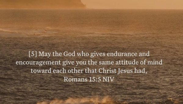 Verse of the day🙏